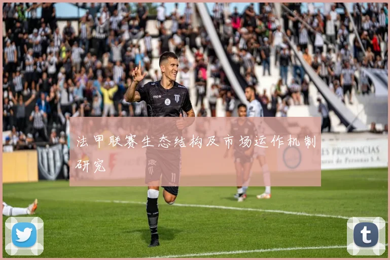 法甲联赛生态结构及市场运作机制研究