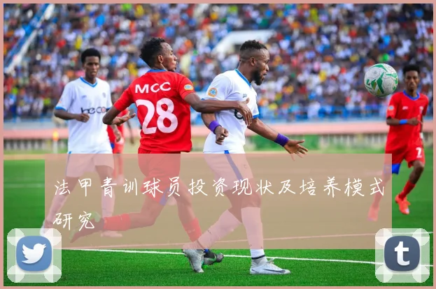 法甲青训球员投资现状及培养模式研究